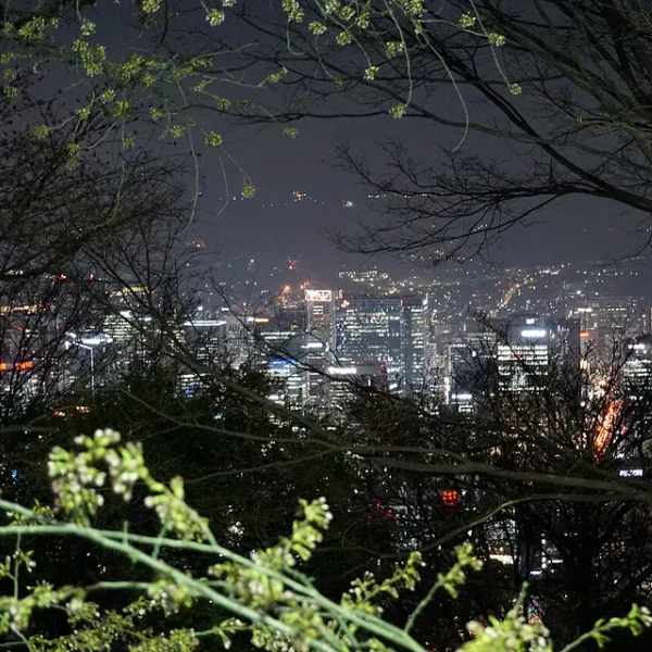 로열 가을스튜디오 홈타이 대표 안내 이미지